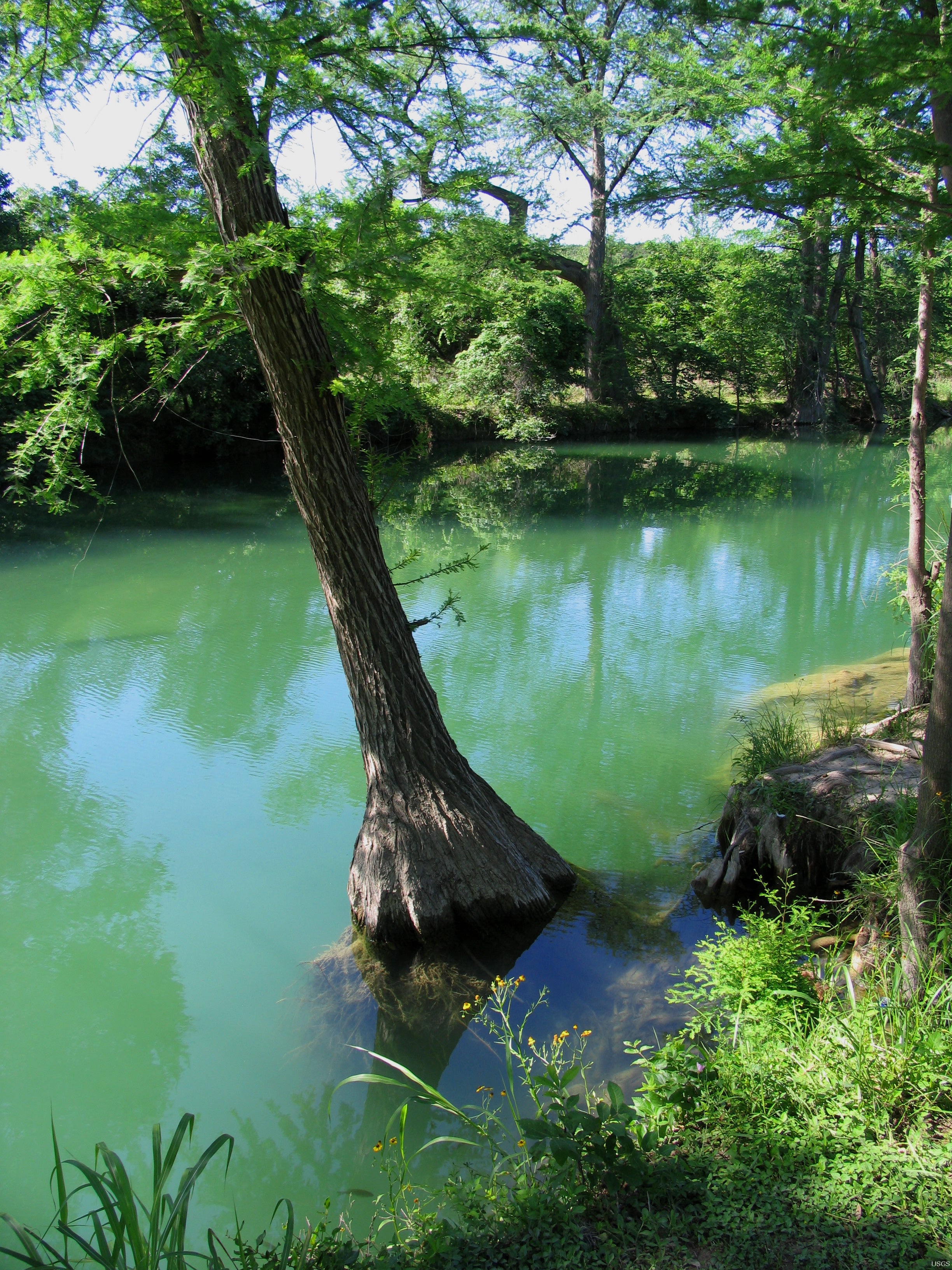 Medina River in Bandera, Texas